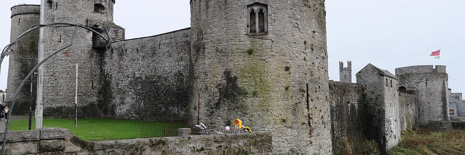 Medieval Quarter Limerick banner