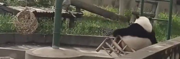 الدّسيم banner