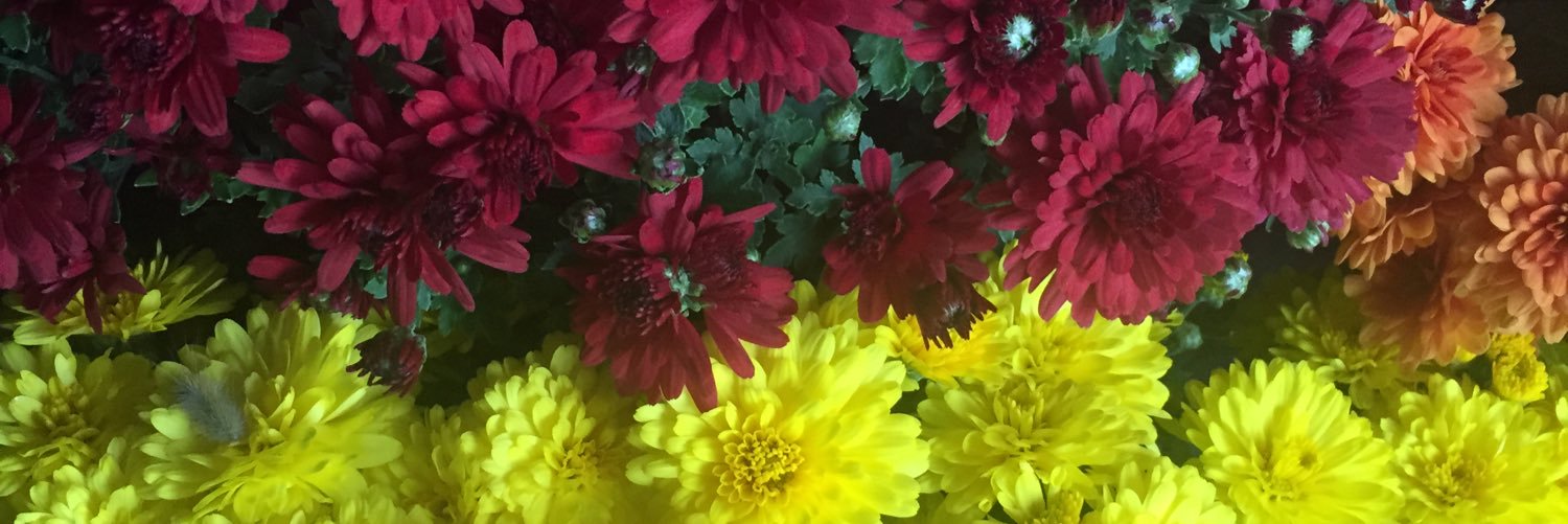 Sam Dartouzos banner