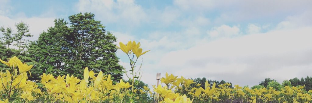 eccharl0414's profile banner image