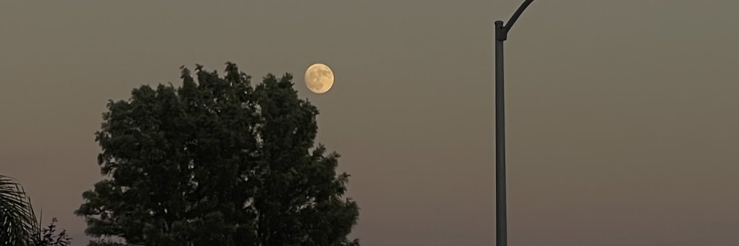 oohgenesis's profile banner image