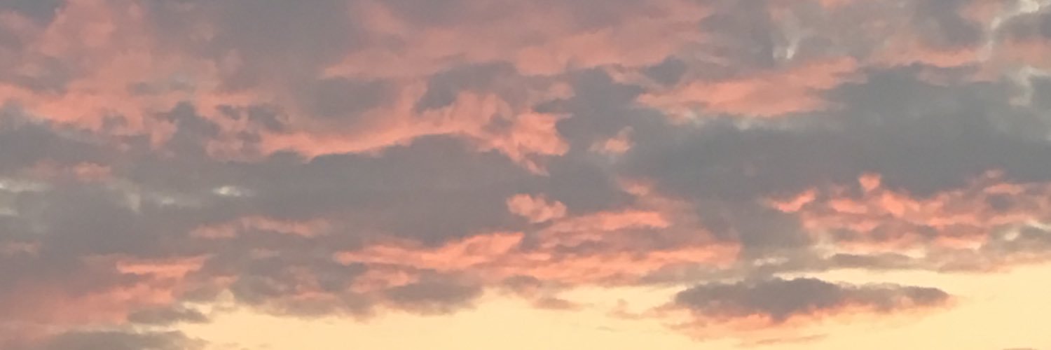 ashlibess's profile banner image