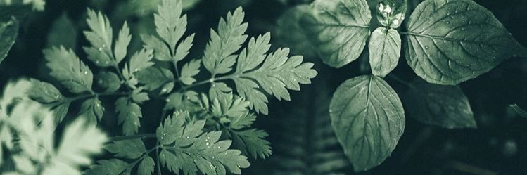 ekustos's profile banner image