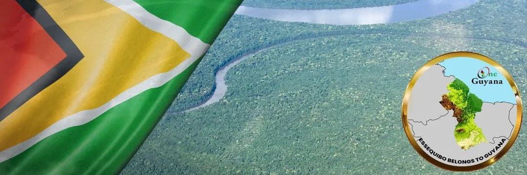 Guyana Chronicle banner