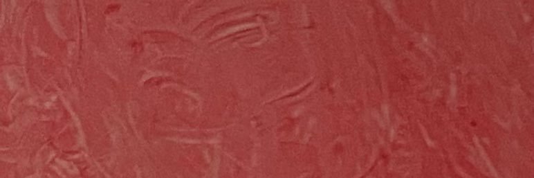 subbu0x0's profile banner image