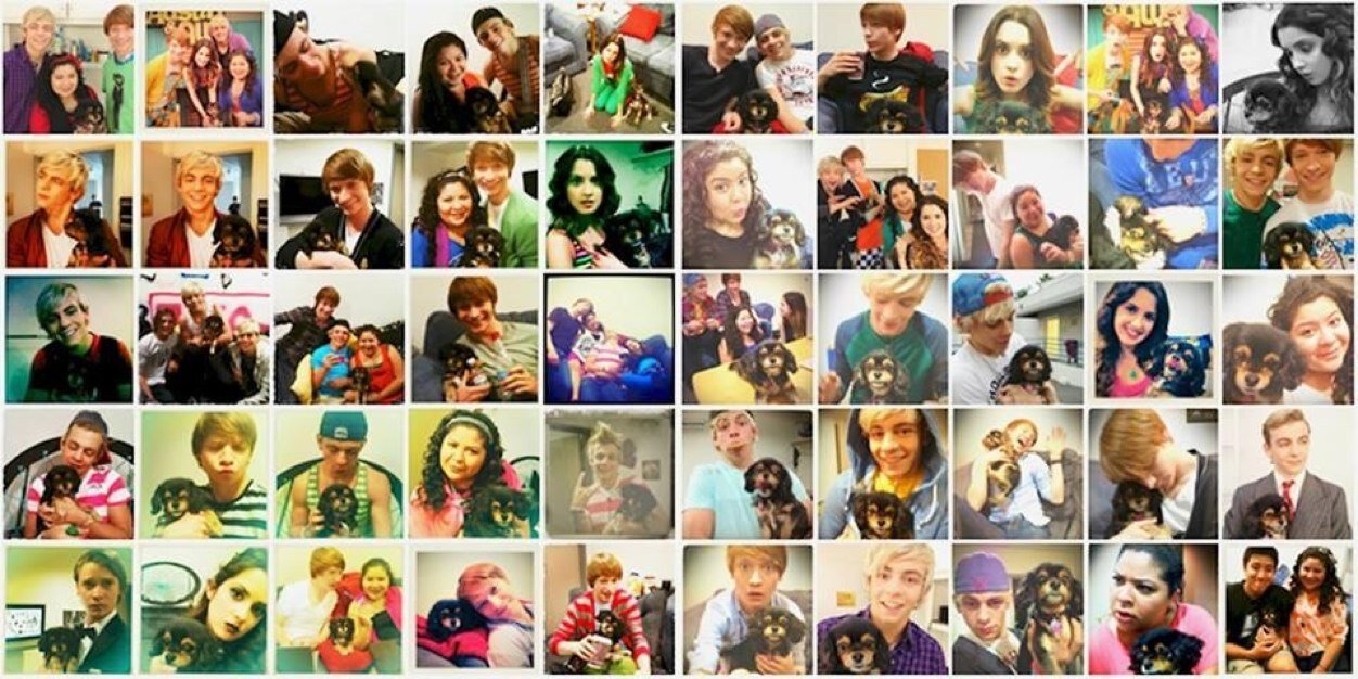 PixiePupLife's profile banner image