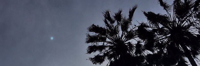IssacChavarin's profile banner image