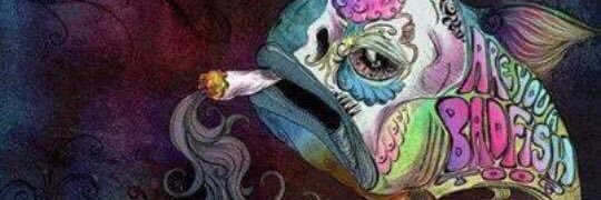 Serienaa_C's profile banner image