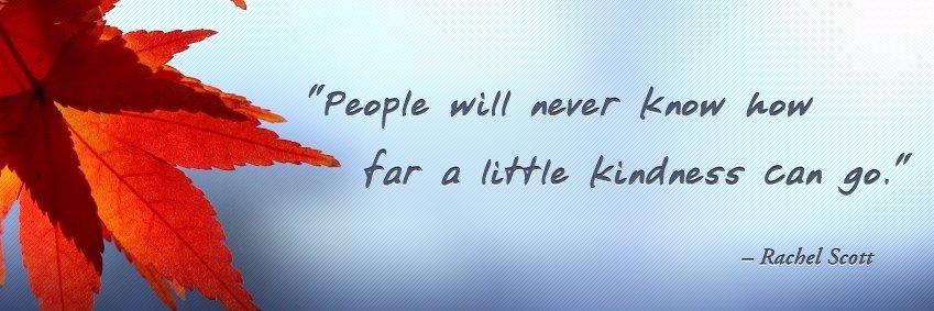 Chambers Counselor banner