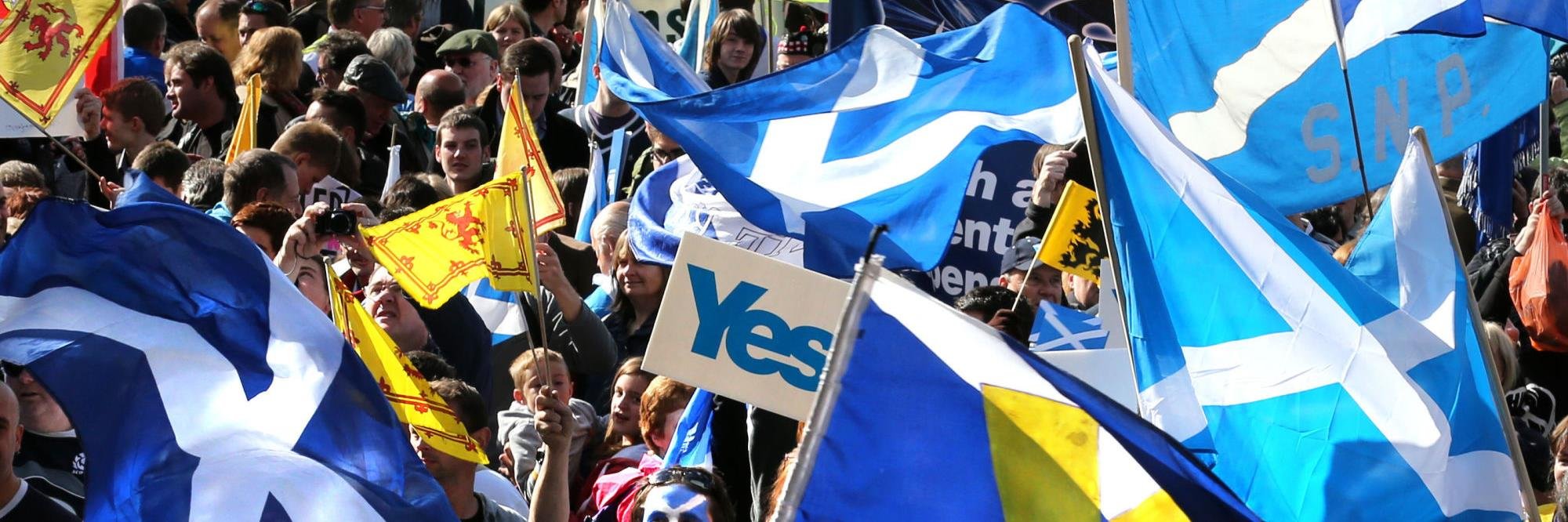 wethe45's profile banner image