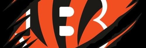 bradivari's profile banner image