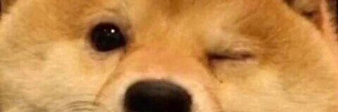 Tristan A banner