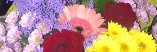 Vologda_7's profile banner image
