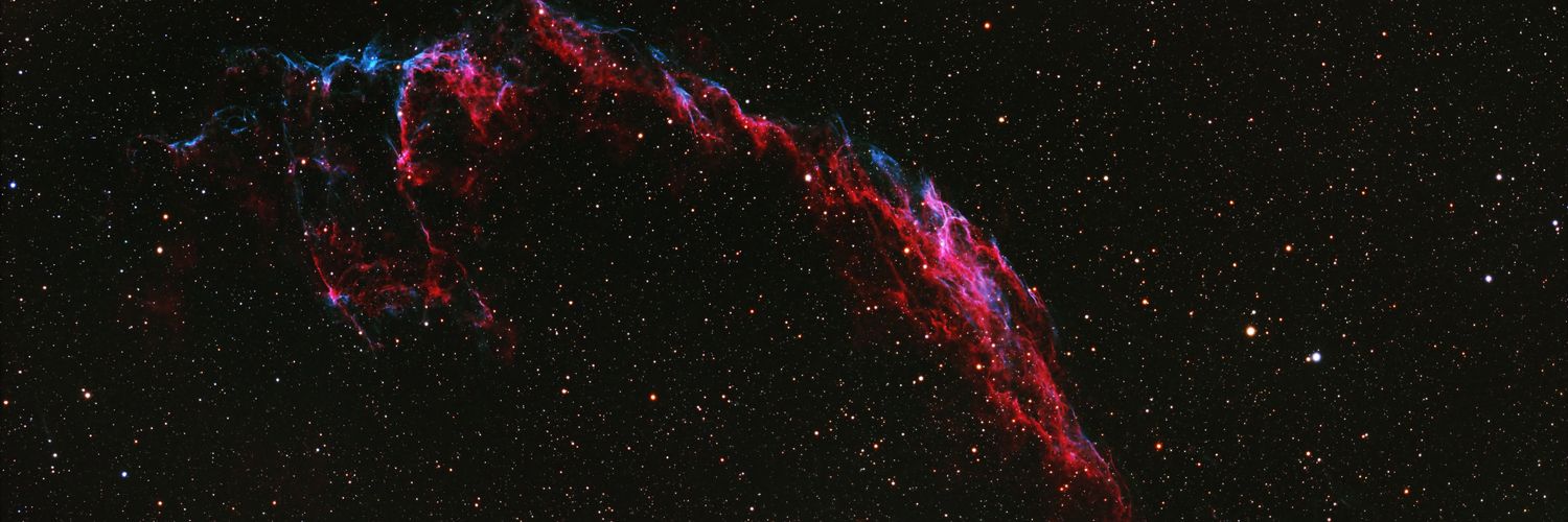 arctyrus banner
