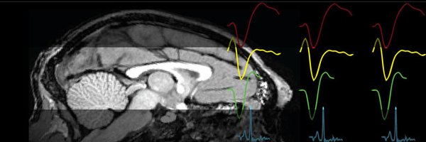 RudebeckLab Profile Banner