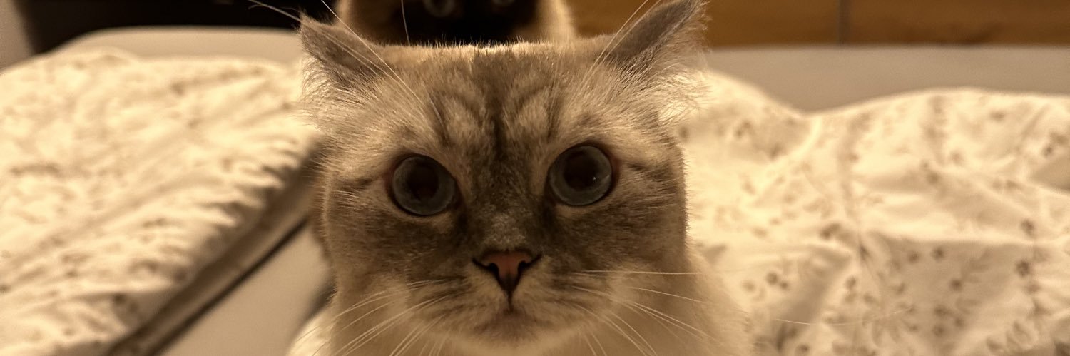 opfisy's profile banner image