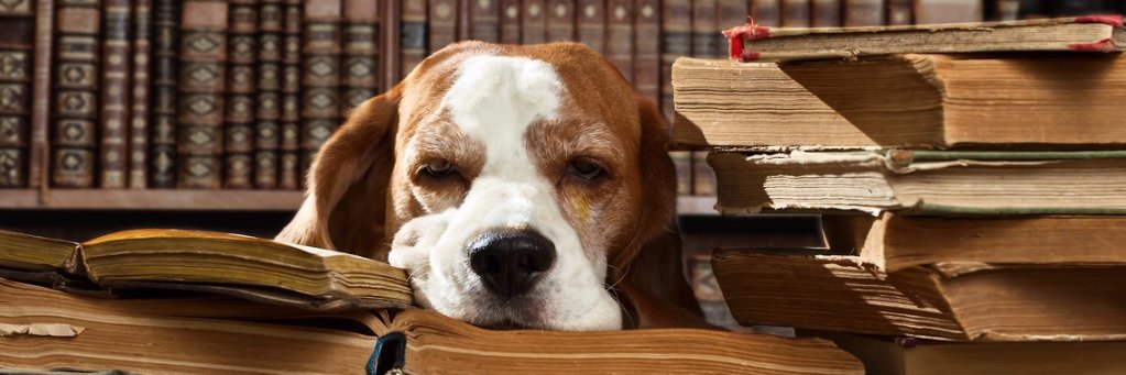 The Spine View banner