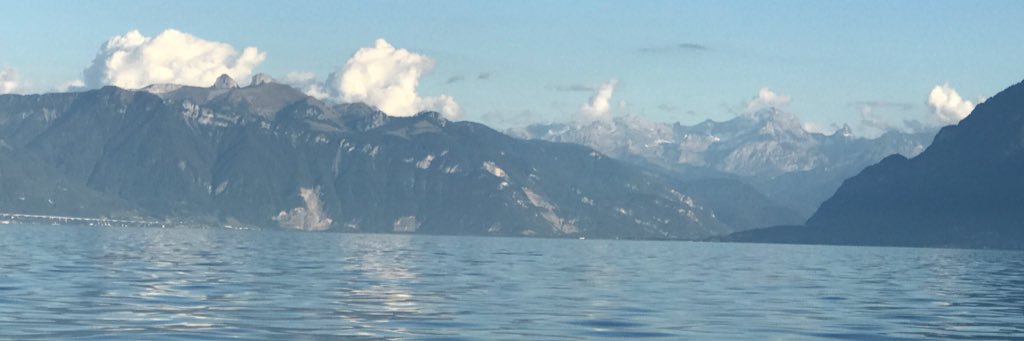 Nicolas Demartines banner