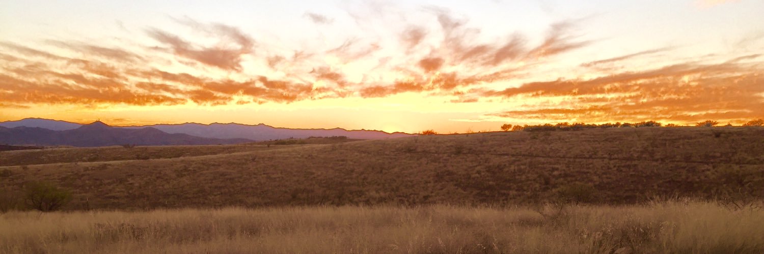 Genny 미령 Lee (she/her) banner