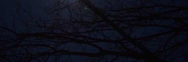 L1GHTcsgo Profile Banner