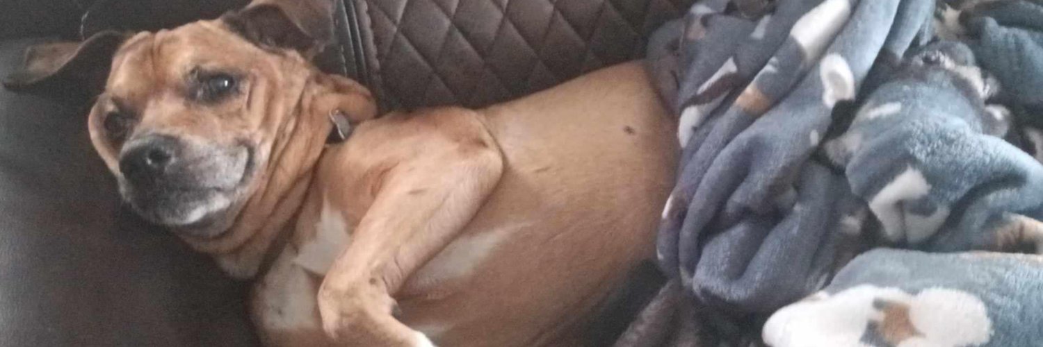 CollaredSubmissiveAsh banner