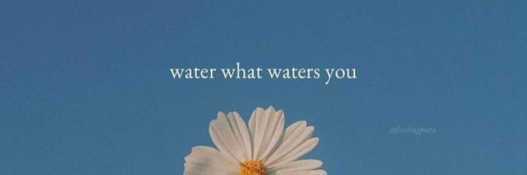 LaFlojera 🇵🇪 💚 banner