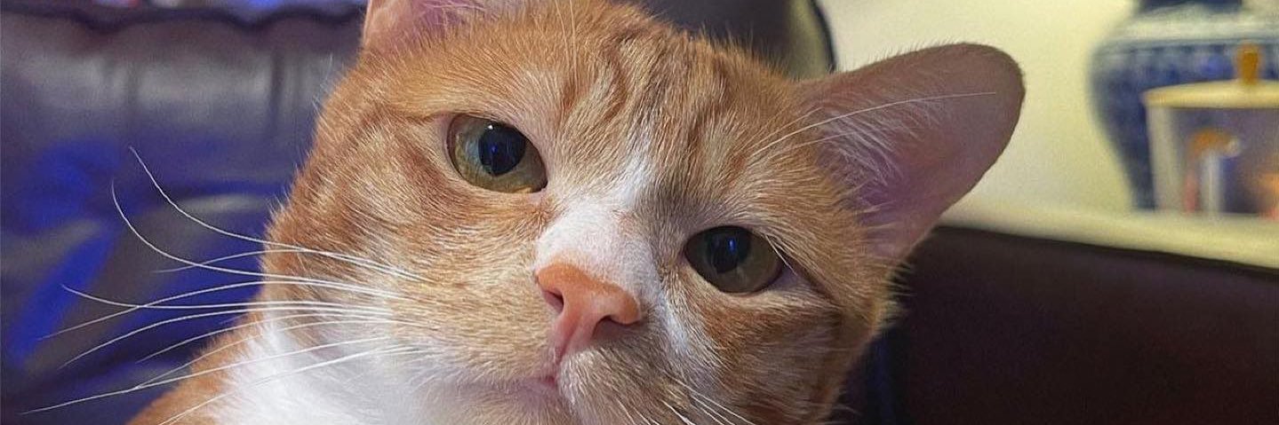 mmerriey's profile banner image