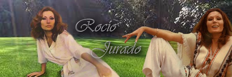 naty_ole's profile banner image