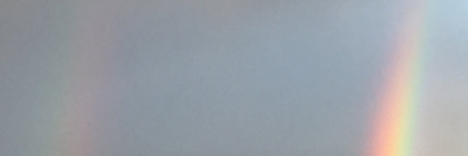Adam Schriber banner