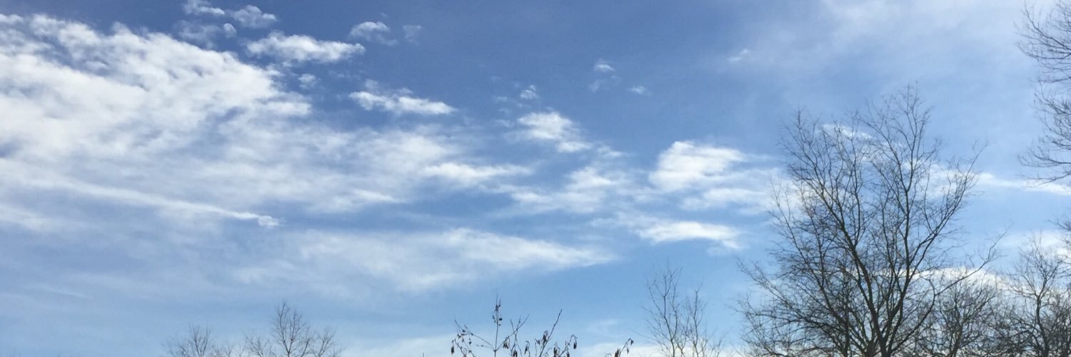 SStrohm's profile banner image