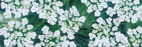 MKjolly1 Profile Banner