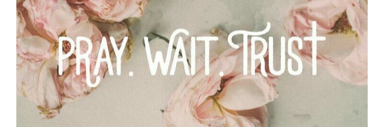 katniiisp's profile banner image