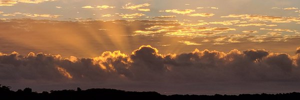 OptiplexPrime Profile Banner