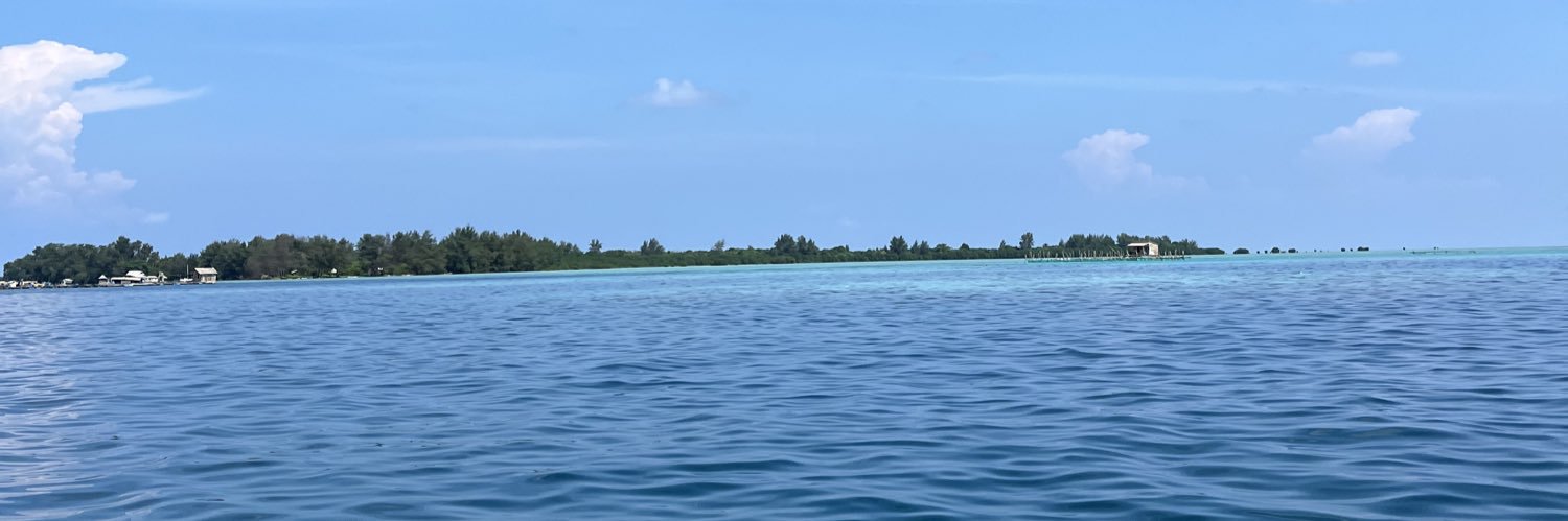 sheilasha's profile banner image
