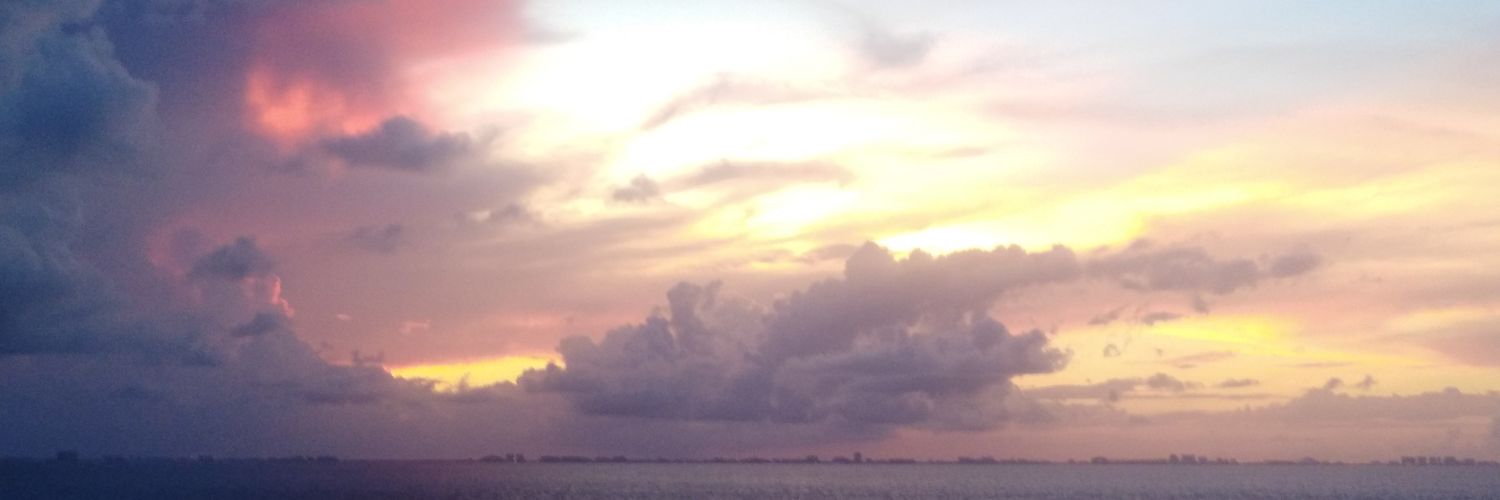 Bugkilla_89's profile banner image
