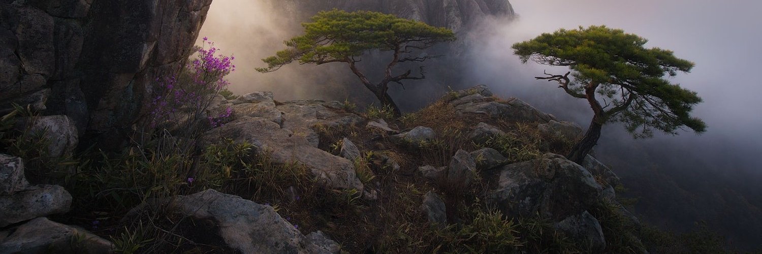 Insane_Samuraï banner