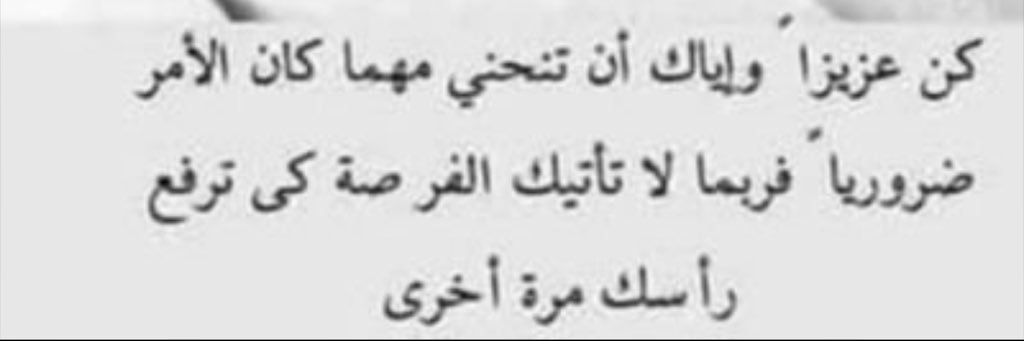 ابو طلال 🇰🇼 🇵🇸🇸🇾 banner