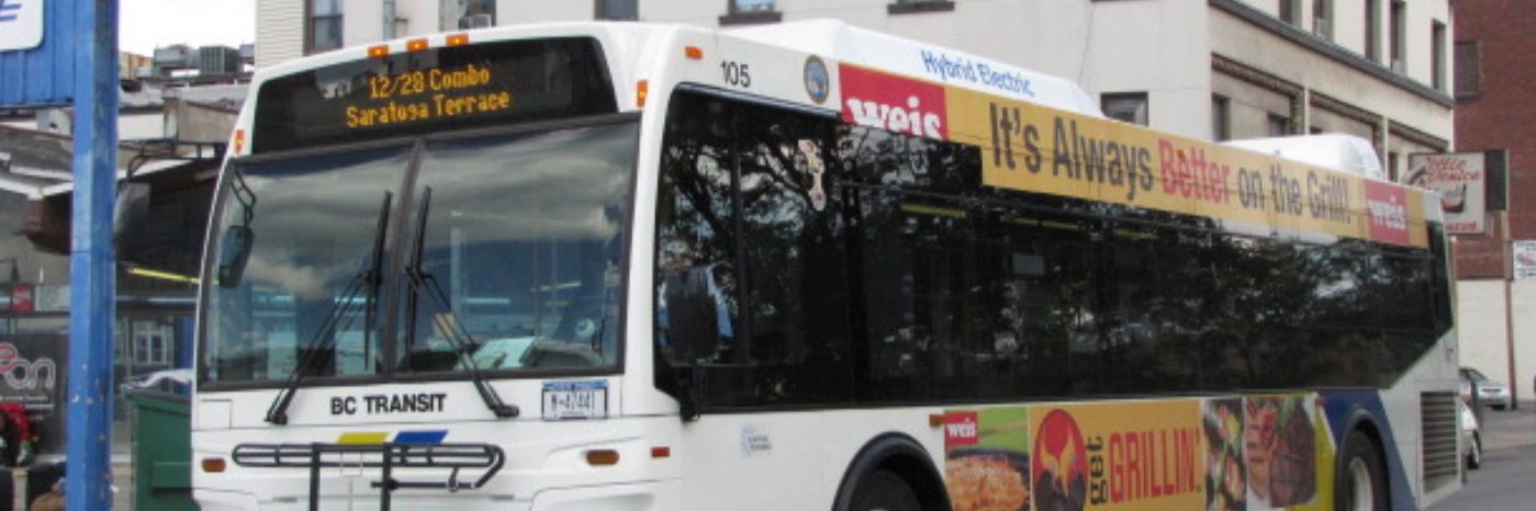 Binghamton Transit Ponies banner