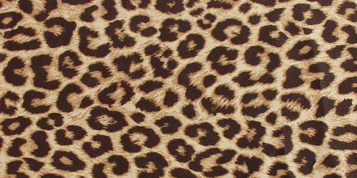 Elliedowling2's profile banner image