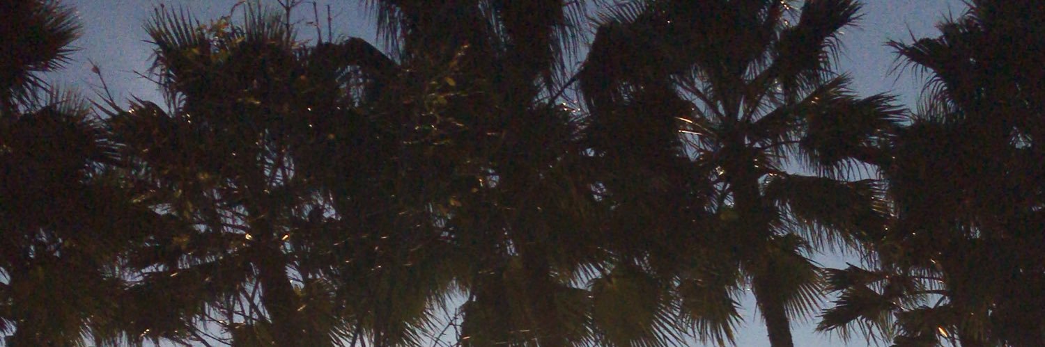 mromerop99's profile banner image