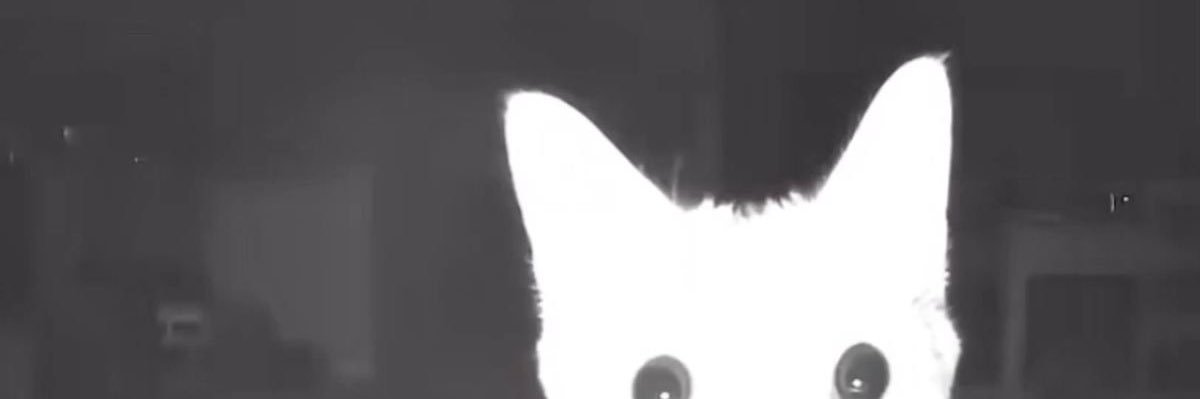 stevphz's profile banner image