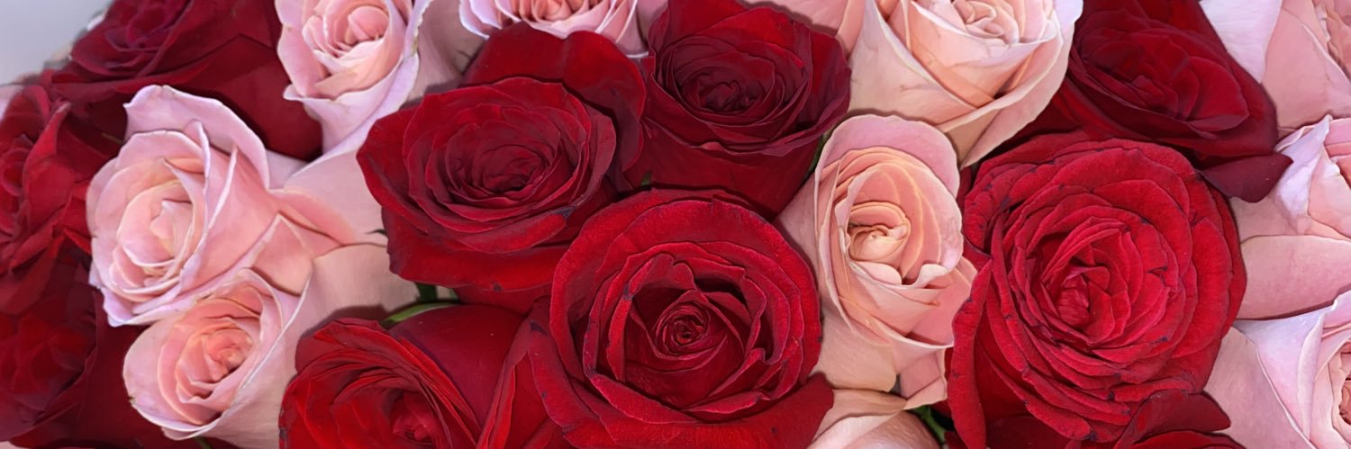 𝕓 🍒 banner