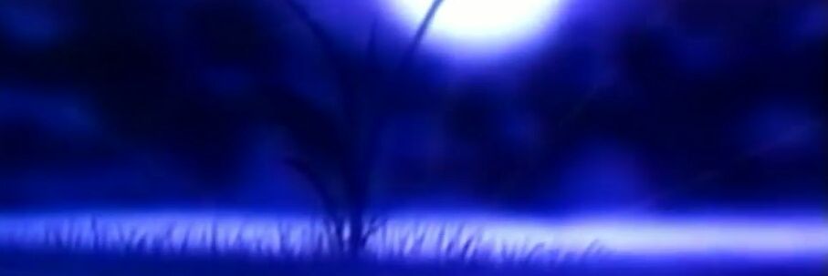 CobwebMystery's profile banner image