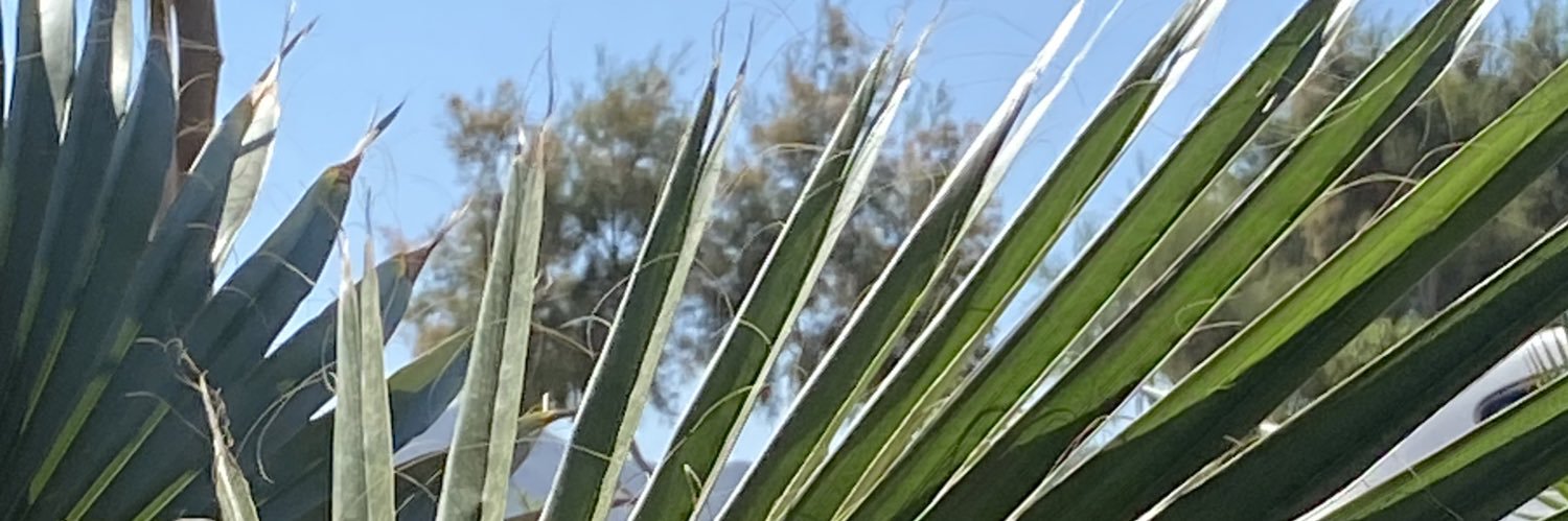 Checky24's profile banner image