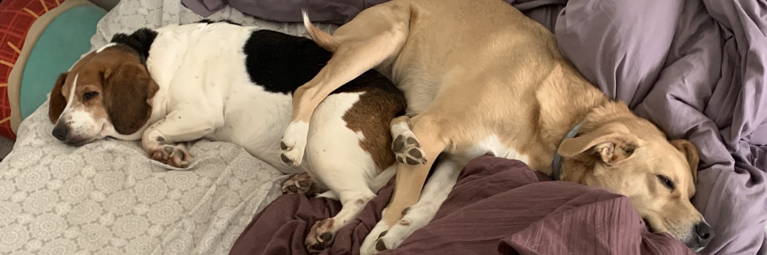haleyellisyo's profile banner image