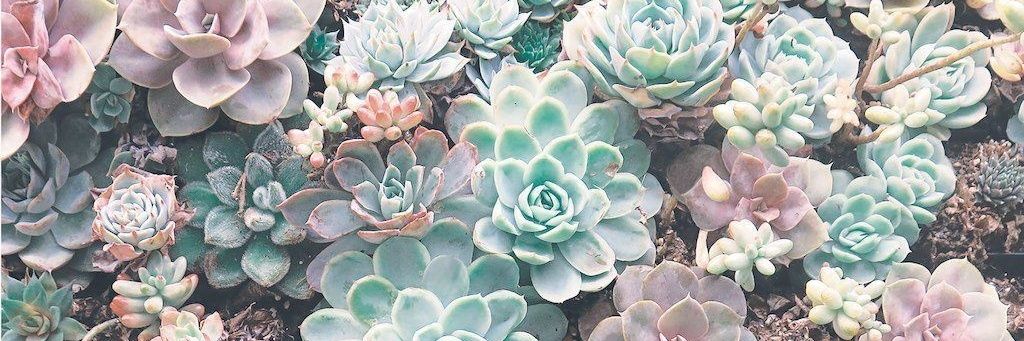 danikajacobs94's profile banner image