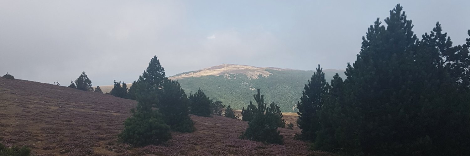 YerduaGreen's profile banner image