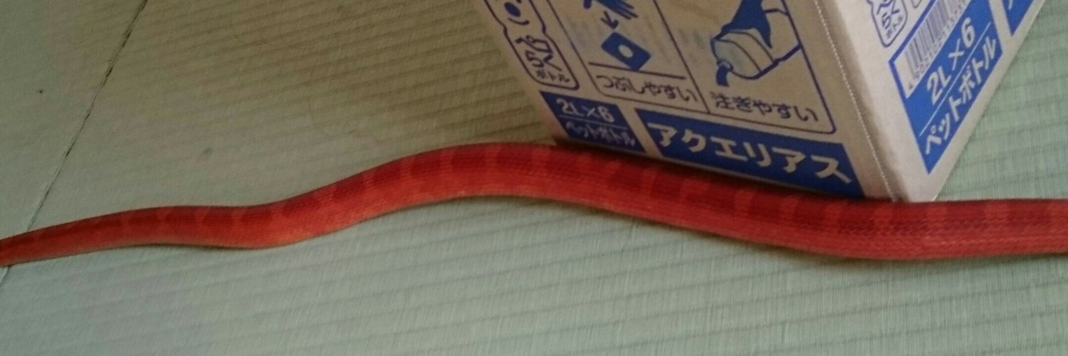Hebi_taro's profile banner image