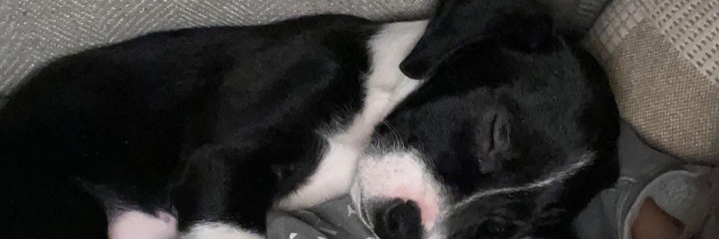 Kmorgy23's profile banner image