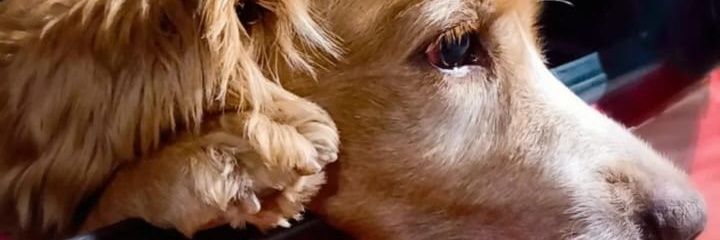 freittas_01's profile banner image